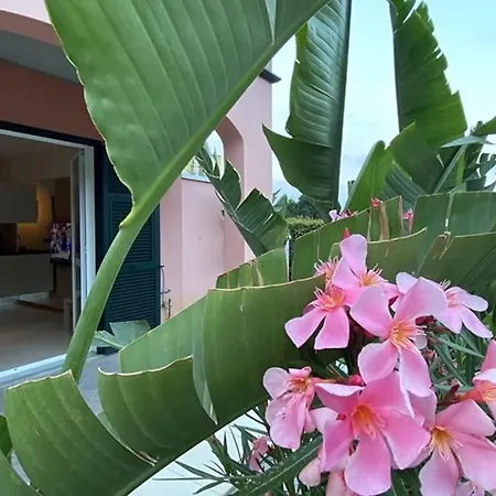 Casa Liguria *